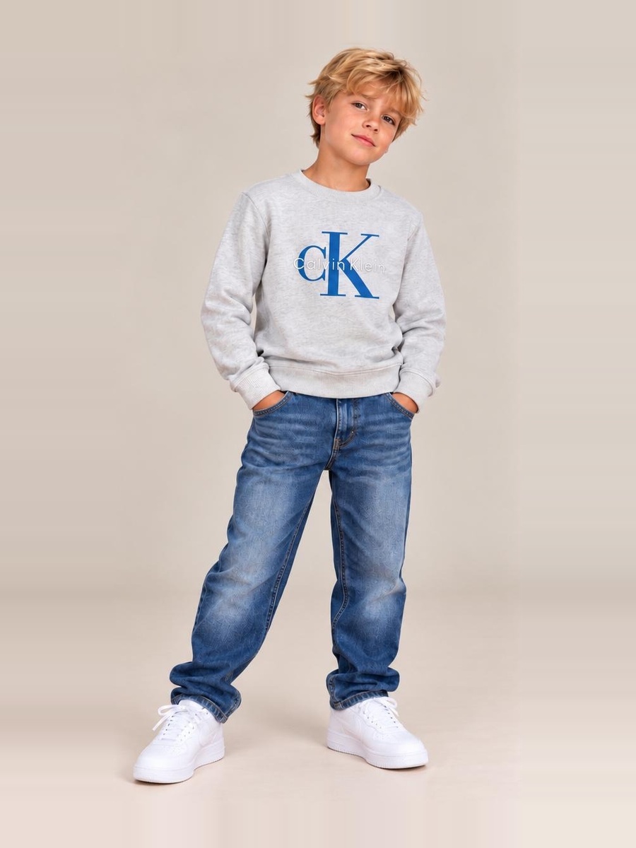 Calvin Klein - Felpa ck grigia (Fronte)